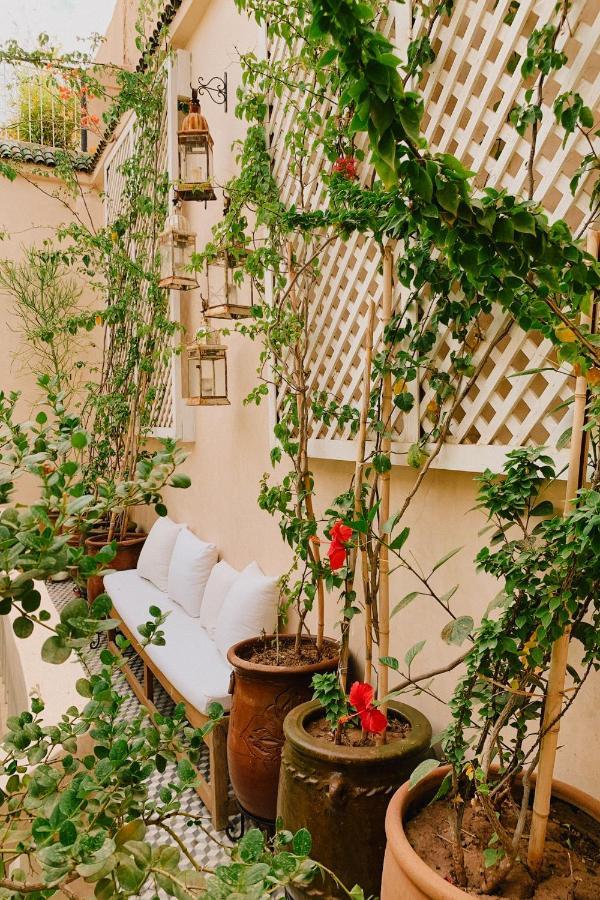 Riad Maison 24 Marraquexe Exterior foto